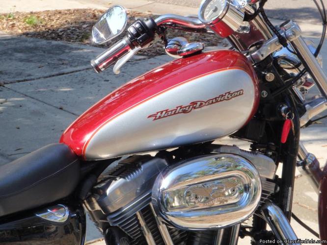 2004 Harley Davidson Sportster 883 - Price: 5,000.00