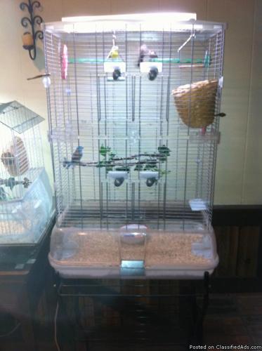 Finches with Cage and Stand - Price: 75.00
