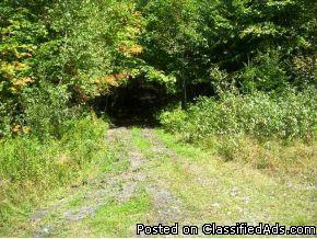 Nice wooded lot with plenty of privacy. Back Farm Rd. - Price: $32,000