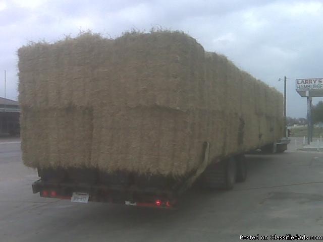 Premium Horse - Jiggs Hay For Sale - Price: 7.00 a bale