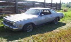 1973 Chevelle SS originally a 350 4 speed car, now has a big block. I have not checked motor numbers but was told it is a 396 from 1967, it has some rust, has swivel bucket seat interior and original paint on car. $2500 or best offer I can help arrange