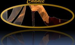 If you're looking for quality, high fashion shoes at reasonable prices, then please visit our online store at www.ChanteShoes.com ! We are currently offering a fabulous winter collection with the latest must-need boots of the season! I guarantee you will
