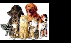 I am a welcome pleasure for both you and your pet. I know pets are family too. I have 21 years veterinary / animal care experience. I am insured and a member of Pet Sitters International. I handle all the TLC so you can have worry free time away. I am