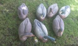 Otters Supermag Decoys.....22 inch....at $4 each and the price is firm.There are&nbsp;29 of the otter decoys left the other 50 were sold....The decoys that were sold were pulled by myself and were not cherry picked.......The ones that are left&nbsp;have