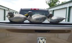 I have about 55 molded soft plastic decoys of varyest breeds. They include mallard Drakes & Hens, Black ducks d&h, pintail d&h and bluebills.&nbsp; Most have weights and are in good condition.