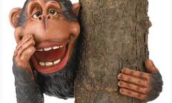 39704 SAVE15% HIDE & SEEK MONKEY TREE DECOR Ready or not, here he comes... to add a hint of hilarity to your favorite tree!
Peek-a-boo cartoon monkey fastens onto any trunk, post or corner for a side-splitting decoration.
Sure to bring a smile to the face