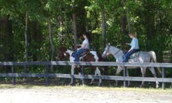 Deep Sigh Farm is accepting applications for stall boarding clients. We have room for just a few so sign up now and get one month at half price with your one year contract. Located just off of Hwy 21 in Beaufort. We are only 50 minutes from Savannah,