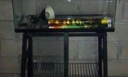 Iguana Cage with Stand. Great condition. This has a wire topper. Also included is the topper for just the aquarium portion.(leaned against the stand) I have the light included but it just has a regular bulb in it.