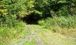 Nice wooded lot with plenty of privacy. This property can be accessed by either Back Farm Road or Cobblestone Road...you pick! There is a skidder road that stretches from one side of the property to the other, making an easy start for a driveway. Electric