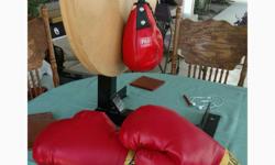 Speed bag great condition with 2 16 oz gloves