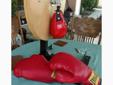 Speed bag and boxing gloves